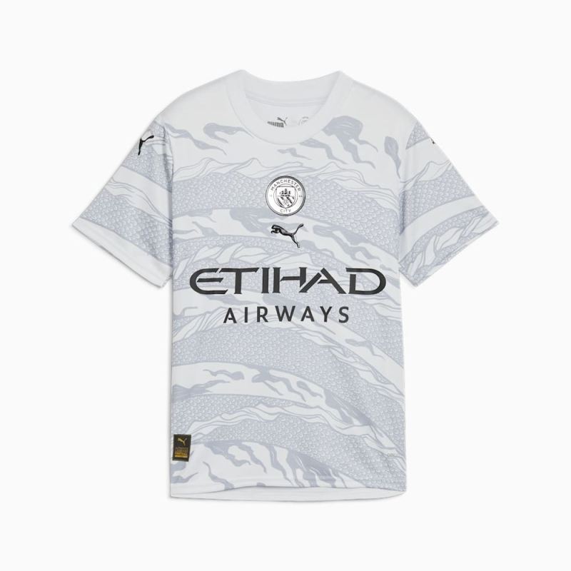 Puma | Boys Manchester City Year of the Dragon 23/24 Big Kids Jersey - Silver Mist-Gray Fog - Click Image to Close