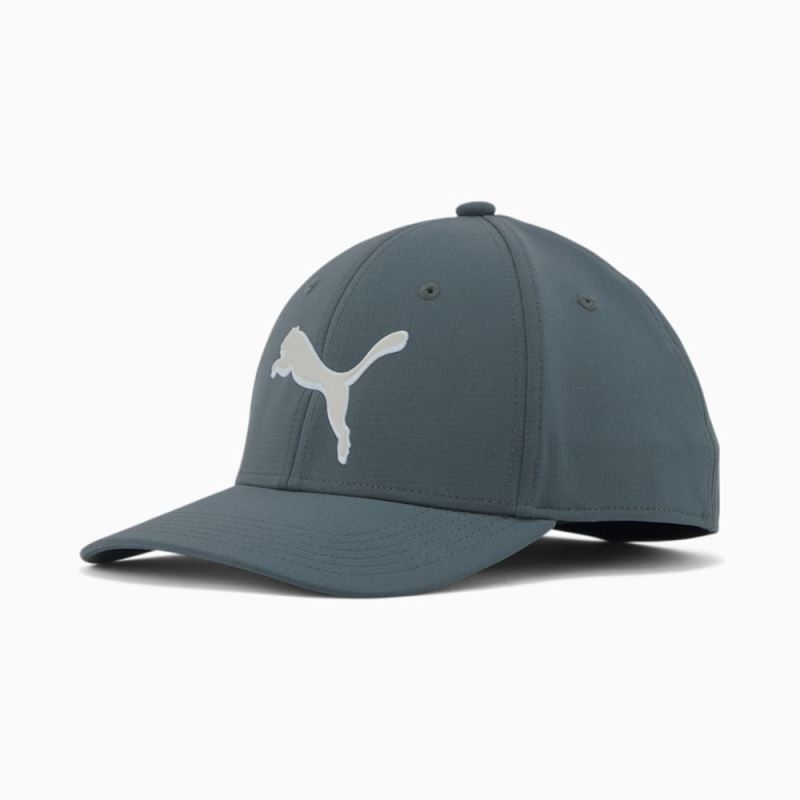 Puma | Women's Addison Stretch Fit Cap - Dark Grey