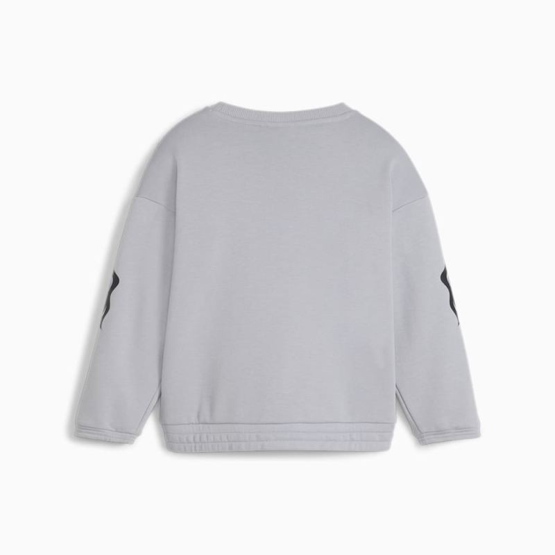 Puma | Girls Puma | Girls x TROLLS Little Kids Sweatshirt - Gray Fog