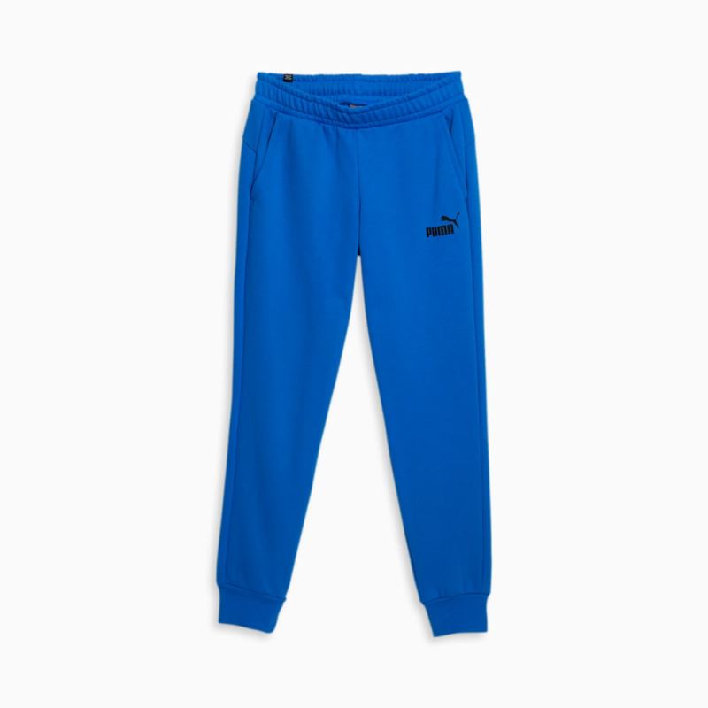 Puma | Men's Essential Logo Sweatpants - Racing Blue