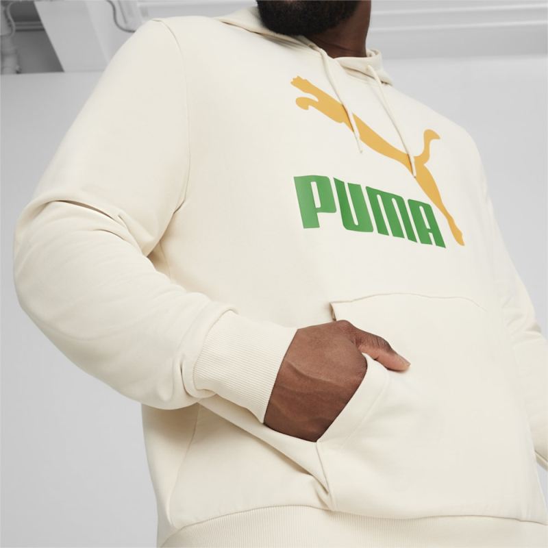 Puma | Men's Classics Logo Hoodie - Alpine Snow