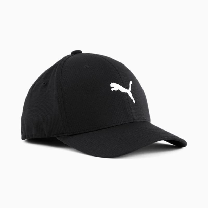 Puma | Men's Hudson Flexfit Cap - BLACK/WHITE