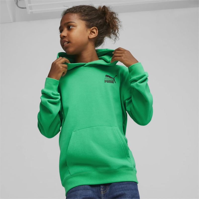 Puma | Boys Classics SUPER Puma | Boys Hoodie - Grassy Green - Click Image to Close