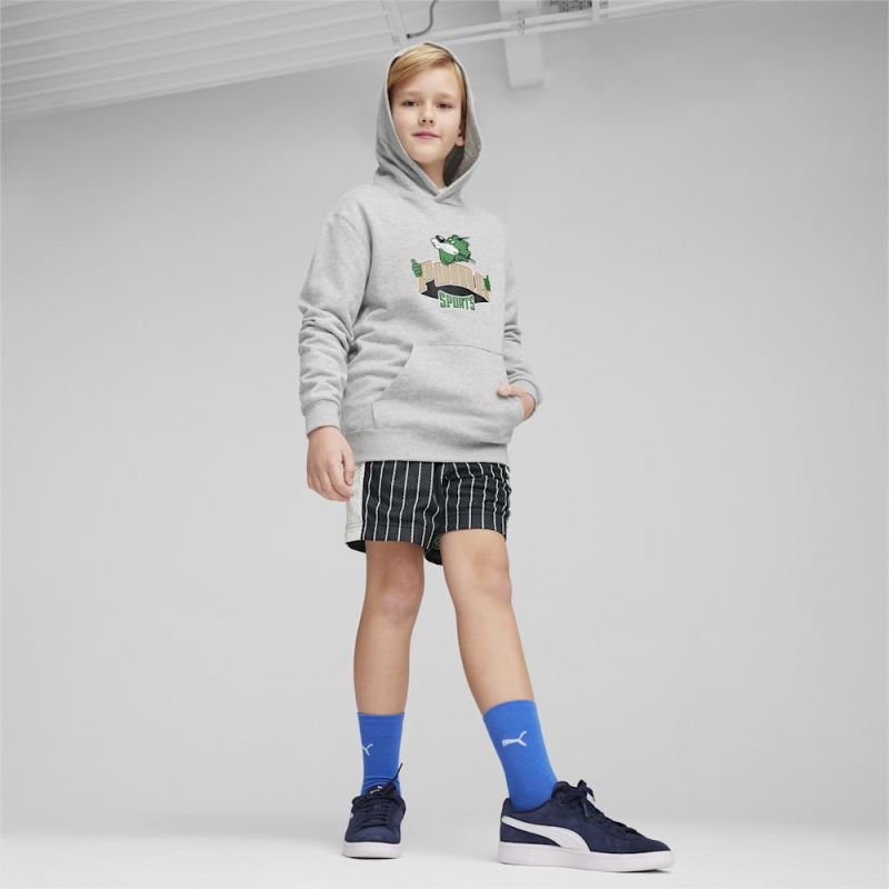 Puma | Boys FOR THE FANBASE Big Kids Hoodie - Light Gray Heather