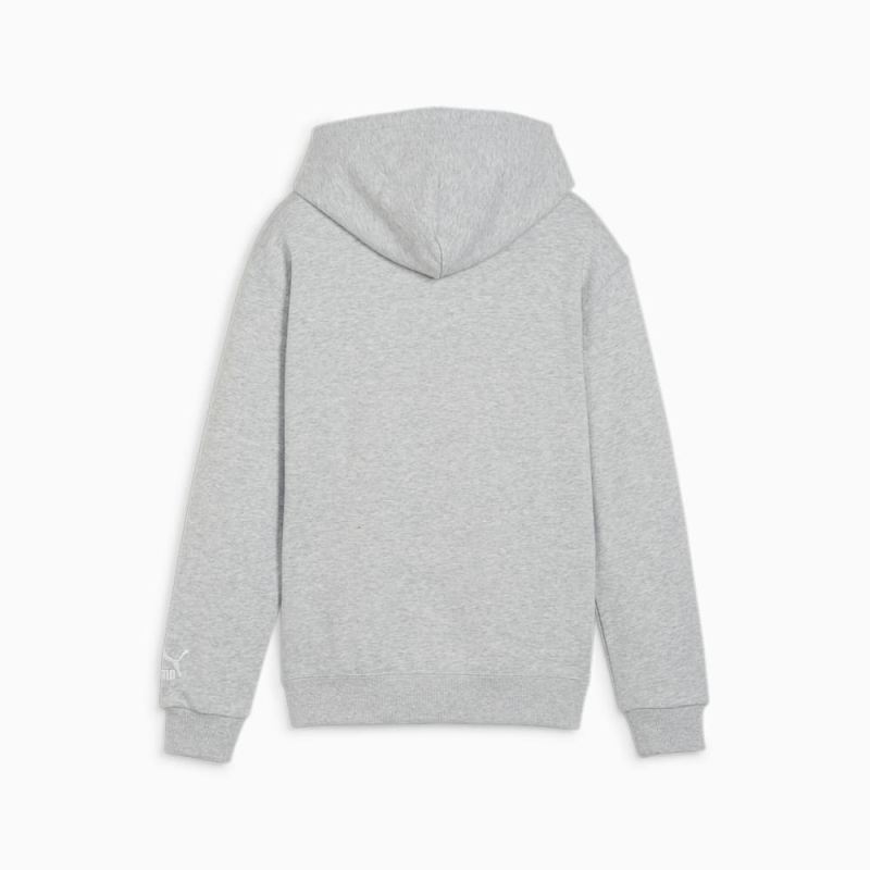 Puma | Boys FOR THE FANBASE Big Kids Hoodie - Light Gray Heather