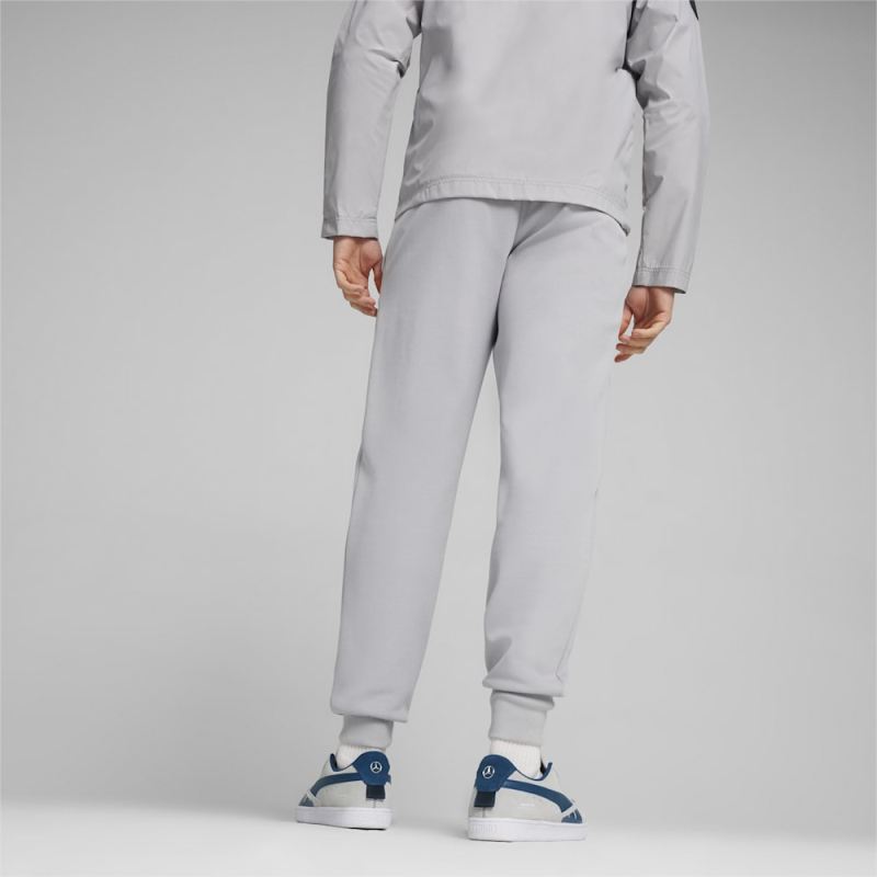 Puma | Men's Mercedes AMG-Petronas F1 Motorsport Sweatpants - Team Silver