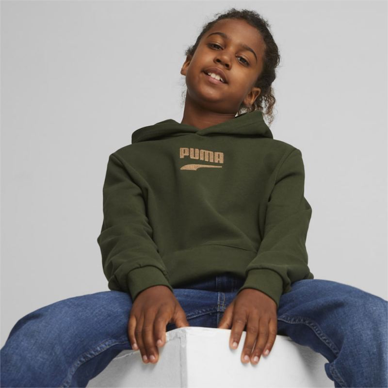 Puma | Boys Downtown Logo Hoodie - Myrtle