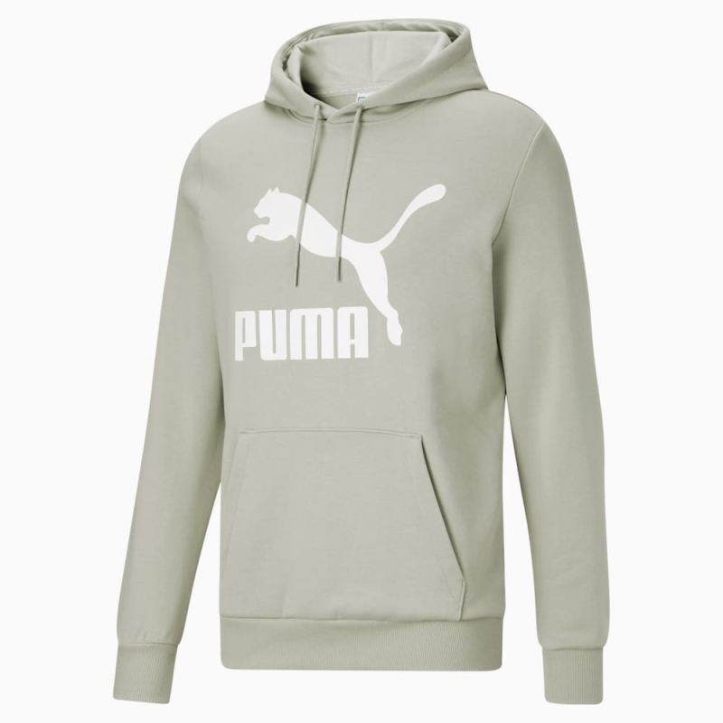 Puma | Men's Classics Logo Hoodie FL - Spring Moss-White