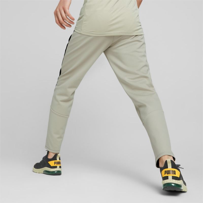 Puma | Men's Evostripe Warm Pants - Pebble Gray